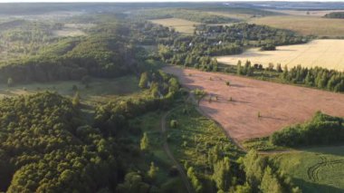 Şehir dışında sisli bir yaz sabahı.