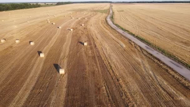 Mlhavé Letní Ráno Mimo Město Horní Pohled — Stock video