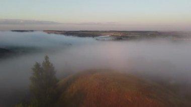 Şehir dışında sisli bir yaz sabahı.