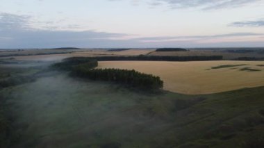 Şehir dışında sisli bir yaz sabahı.
