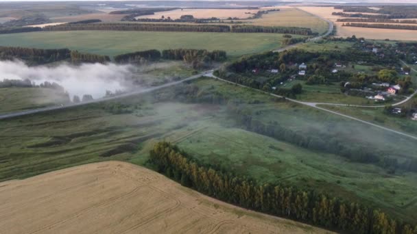 Foggy Sommar Morgon Utanför Stadens Övre — Stockvideo