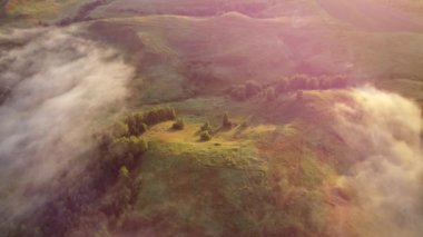 Şehir dışında sisli bir yaz sabahı.