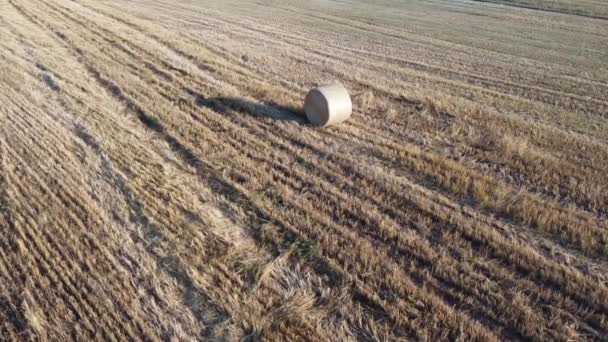 Mistige Zomerochtend Buiten Stad Top Uitzicht — Stockvideo