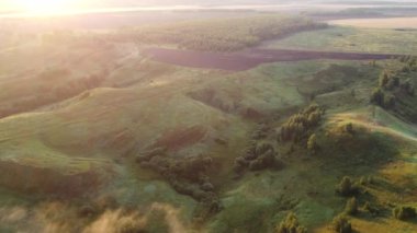 Şehir dışında sisli bir yaz sabahı.