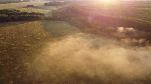 Foggy Sommar Morgon Utanför Stadens Övre — Stockvideo