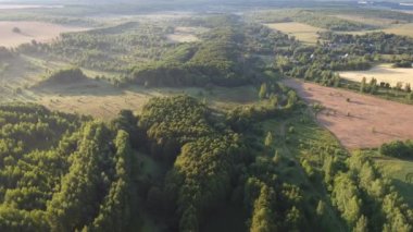 Şehrin dışında sisli bir sabah.