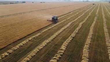 Şehir manzarasının dışında güzel bir yaz sabahı