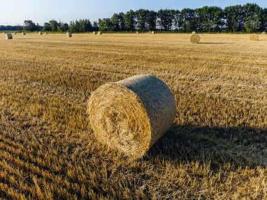 Şehir manzarasının dışında güzel bir yaz sabahı