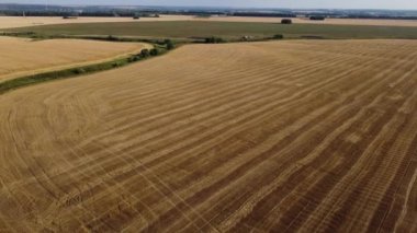 Şehir manzarasının dışında güzel bir yaz sabahı