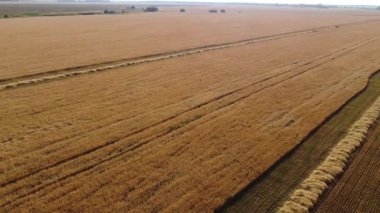 Şehir manzarasının dışında güzel bir yaz sabahı