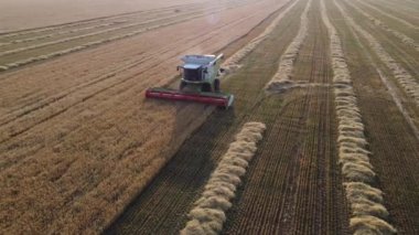 Şehir manzarasının dışında güzel bir yaz sabahı