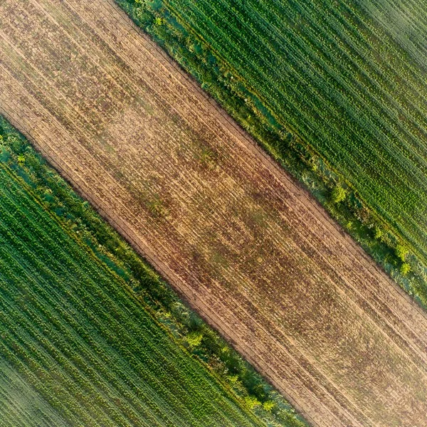 Feld Ansicht Abstraktion Grüner Hintergrund — Stockfoto