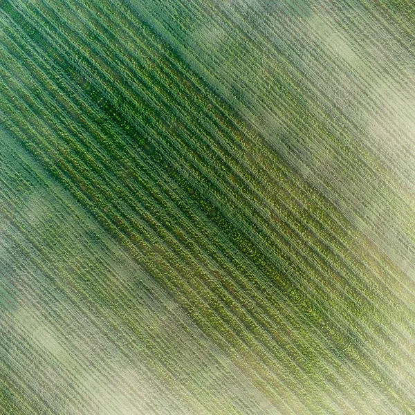 Feld Ansicht Abstraktion Grüner Hintergrund — Stockfoto