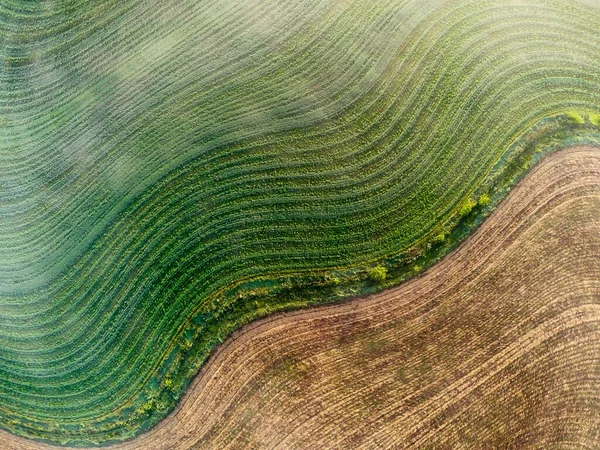 Feld Ansicht Abstraktion Grüner Hintergrund — Stockfoto