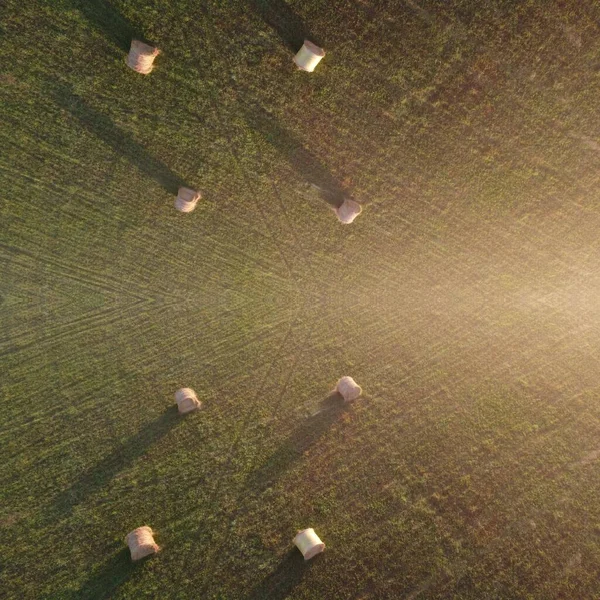 Vista Maravilhosa Manhã Dos Gráficos Computador Campo — Fotografia de Stock