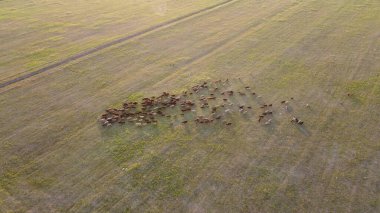 Şehir manzarası dışında güzel bir sabah