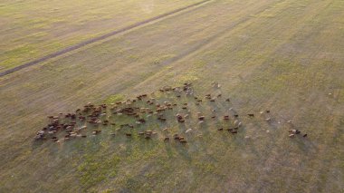 Şehir manzarası dışında güzel bir sabah