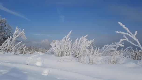 Kar Yağdıktan Sonra Şehrin Dışında Dondurucu Bir Kış Sabahı — Stok video