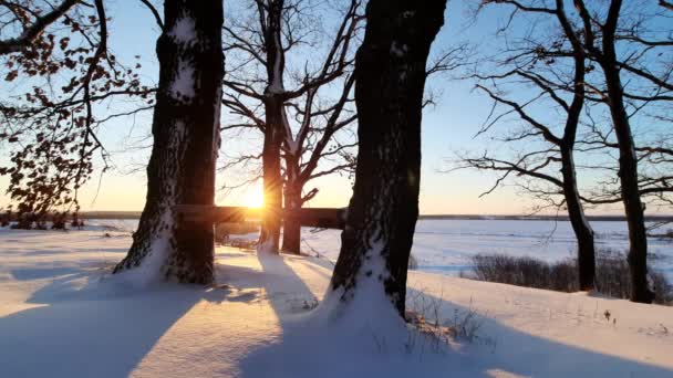 一场暴风雪过后的一个寒冷的冬日早晨 — 图库视频影像