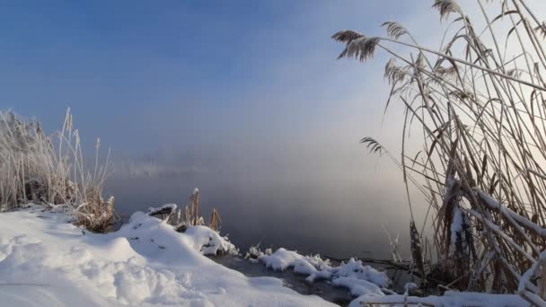 Une Matinée Hiver Glacée Dehors Ville Après Une Chute Neige — Video