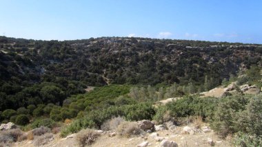 Harika bir sonbahar günü Kıbrıs Cumhuriyeti