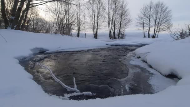 Una Fredda Mattina Inverno Sopra Gli Alberi Del Fiume Nel — Video Stock