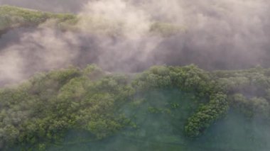 Şehir manzarasının dışında harika bir yaz sabahı