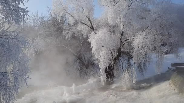 Ein Frostiger Wintermorgen Fluss Verzweigt Sich Frost — Stockvideo
