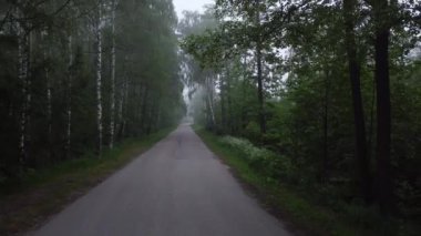 Yaz sabahı şehir dışında Ormanın içinden geçen yol