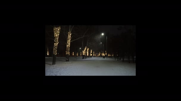 Studená Zimní Noc Parku Sněžení — Stock video