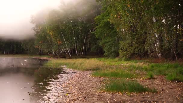 Orman Gölü Üzerinde Sisli Bir Sonbahar Sabahı — Stok video
