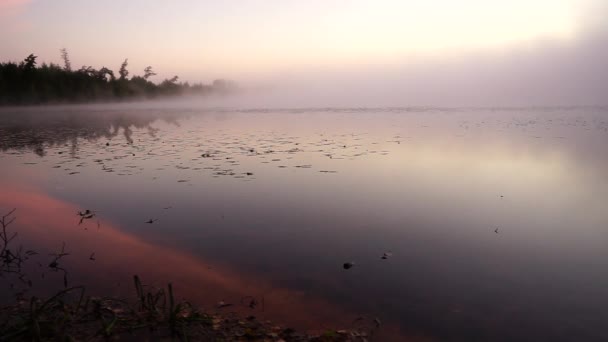 Mattinata Autunnale Appannata Lago Foresta — Video Stock