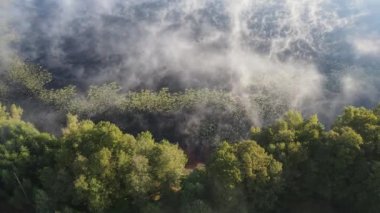 Şehrin dışında sisli bir sabah.