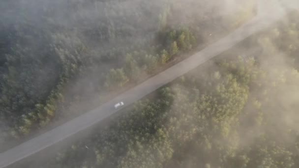 Dálnice Lesem Mlhavé Podzimní Ráno Městem — Stock video