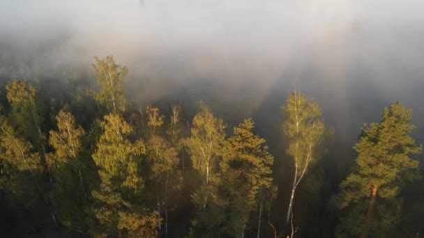 多雾的早晨在城外俯瞰 — 图库视频影像