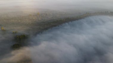 Şehrin dışında sisli bir sabah.