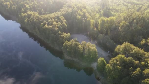 Niebla Mañana Otoño Sobre Lago Del Bosque — Vídeo de stock