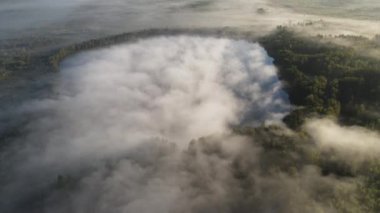 Orman gölü üzerinde sisli bir sonbahar sabahı