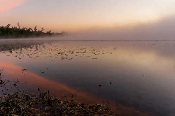 Orman Gölünde Sisli Bir Sabah — Stok fotoğraf