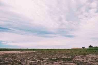 Bulutlu bir gökyüzünün arka planına karşı ender çimenlerle kaplı bir ovaya bak. Uzakta 2 ağaç