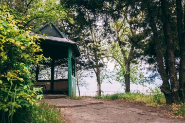 Yaz ormanında eski bir ahşap çardak. Nehre bakan çardak. Orman çardağında sahne