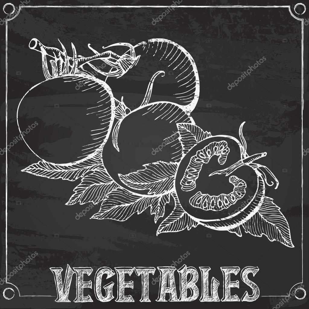Vector chalk drawing of tomatoes Stock Illustration by ©ennona 102546116