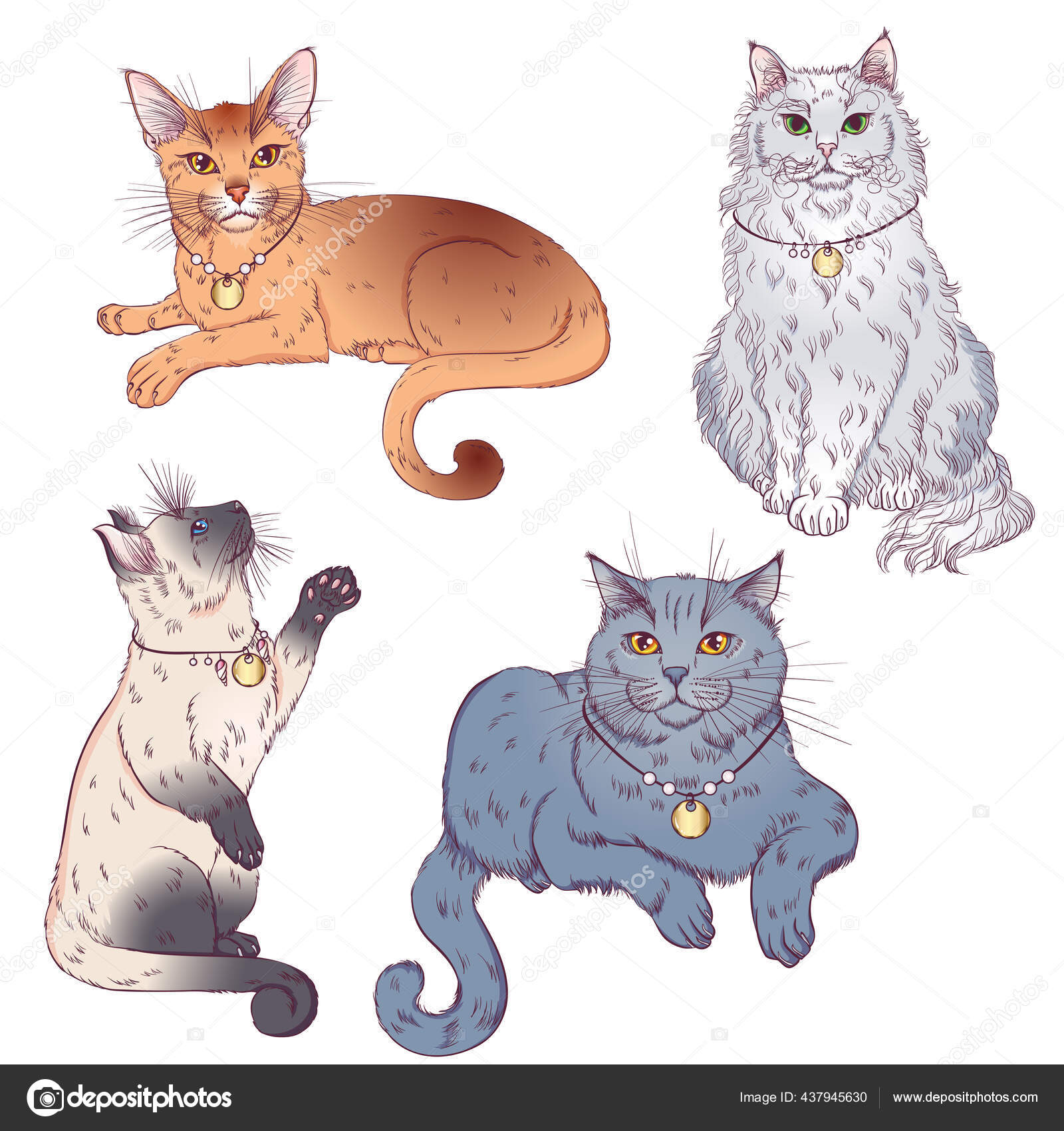 Bonito desenho animado gatos conjunto imagem vetorial de ennona