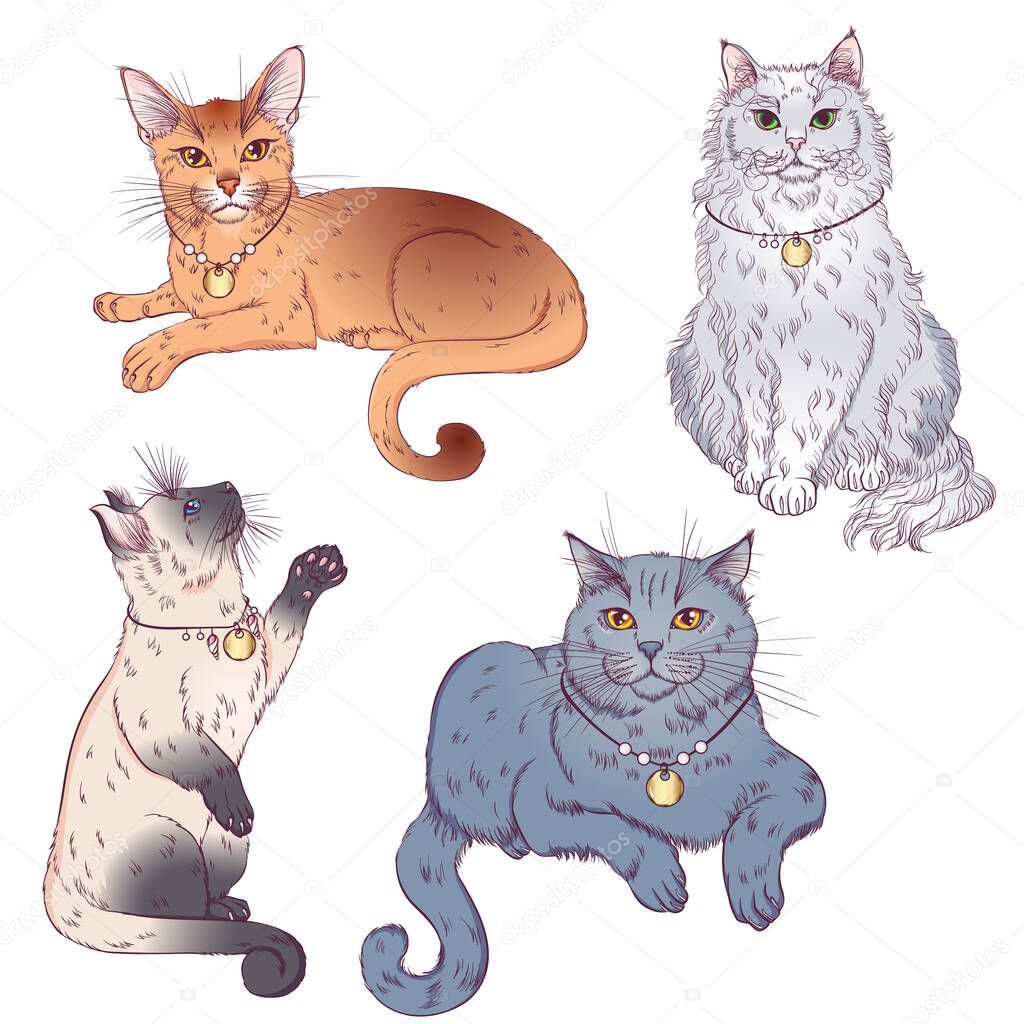 Cute cartoon cats set