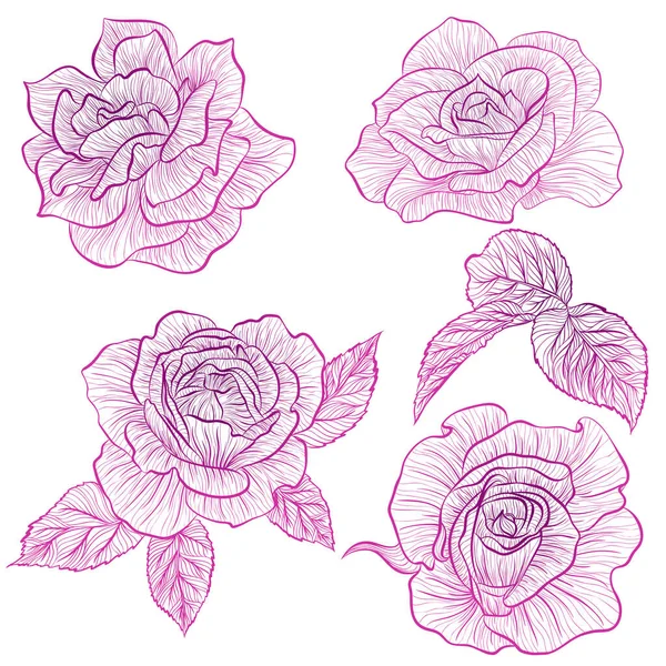 Roses dans le style line art — Image vectorielle