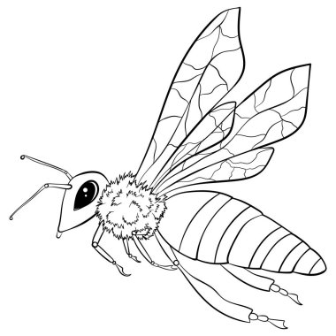 Arı hattı sanat tarzı