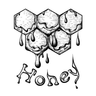 Bal peteği vektör illüstrasyonu