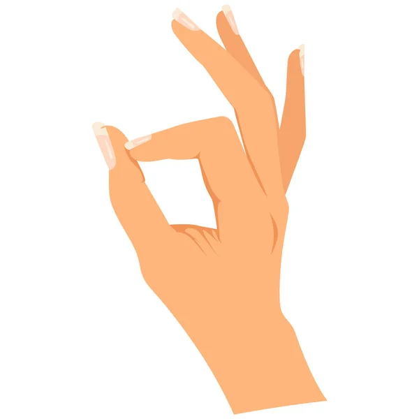 Gesture ok female hand — Stock Vector