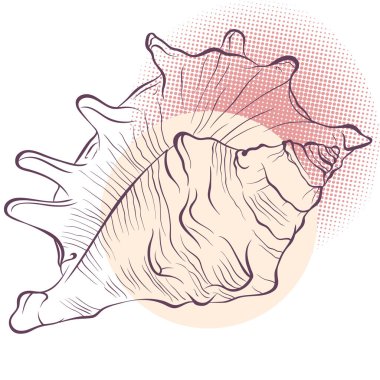 Benekli arka planda çivilenmiş deniz kabuğu