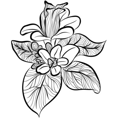 Çiçek yaprakları çizgi sanatı